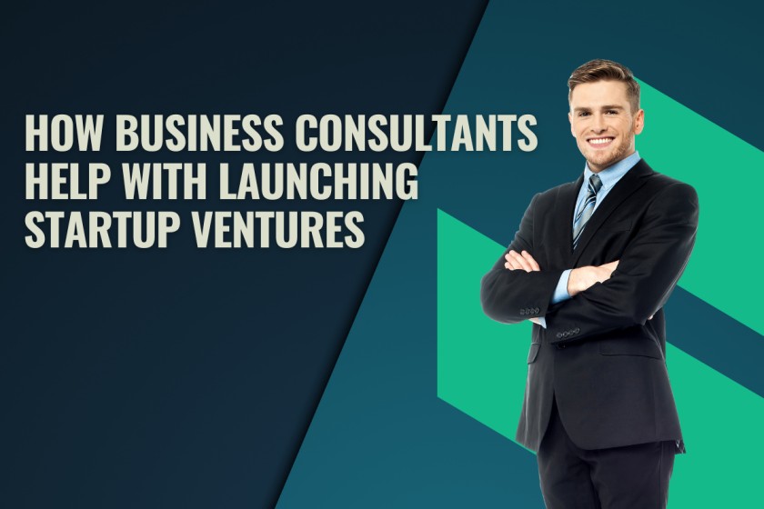 Startup Consultant Support